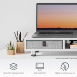 Bastion Dual Monitor Stand D210 - 42.5" White